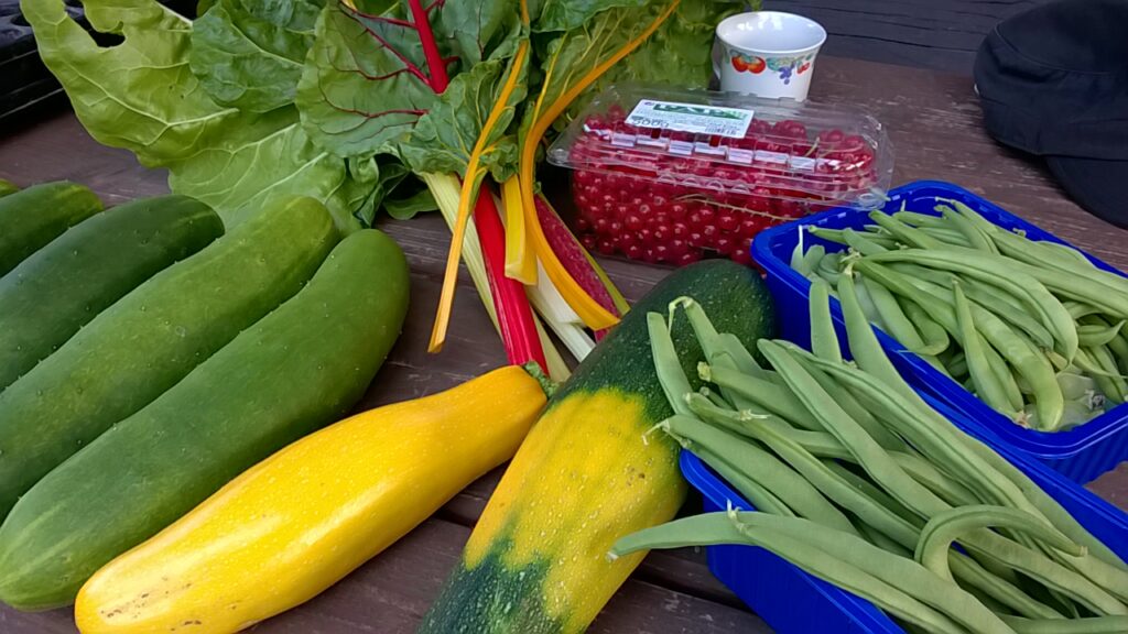 Gurken, Zuchini, Bohnen, Mangold und rote Johannisbeeren