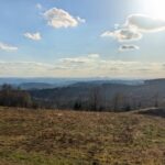 Ausblick vom Hohen Wäldchen über sanfte Hügelketten, am Horizont das Siebengebirge