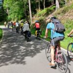 Eine Radgruppe von hinten auf einer schmalen Straße durch frühlingshaften Wald und Wiesen.
