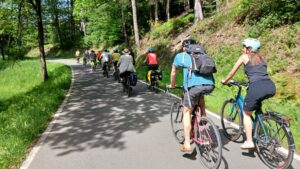 Eine Radgruppe von hinten auf einer schmalen Straße durch frühlingshaften Wald und Wiesen.