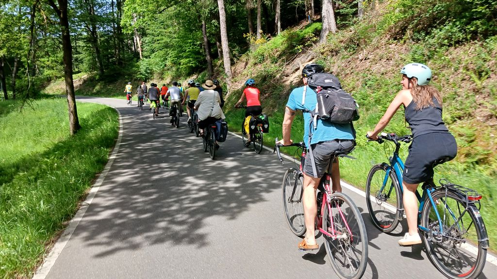 Eine Radgruppe von hinten auf einer schmalen Straße durch frühlingshaften Wald und Wiesen.